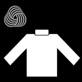turtleneck wool